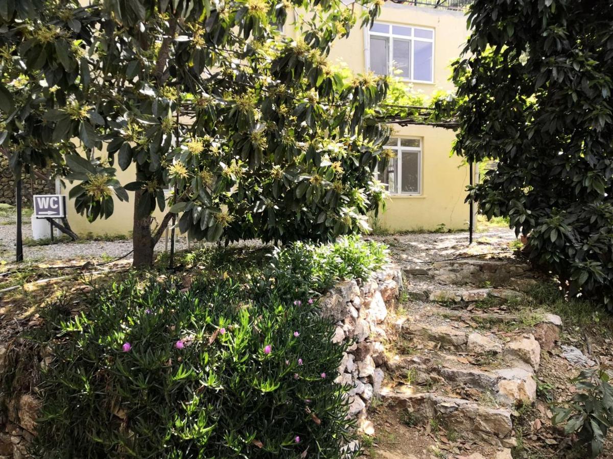 Zeytinada Pansiyon Ve Goezleme Guneykoy Exterior photo